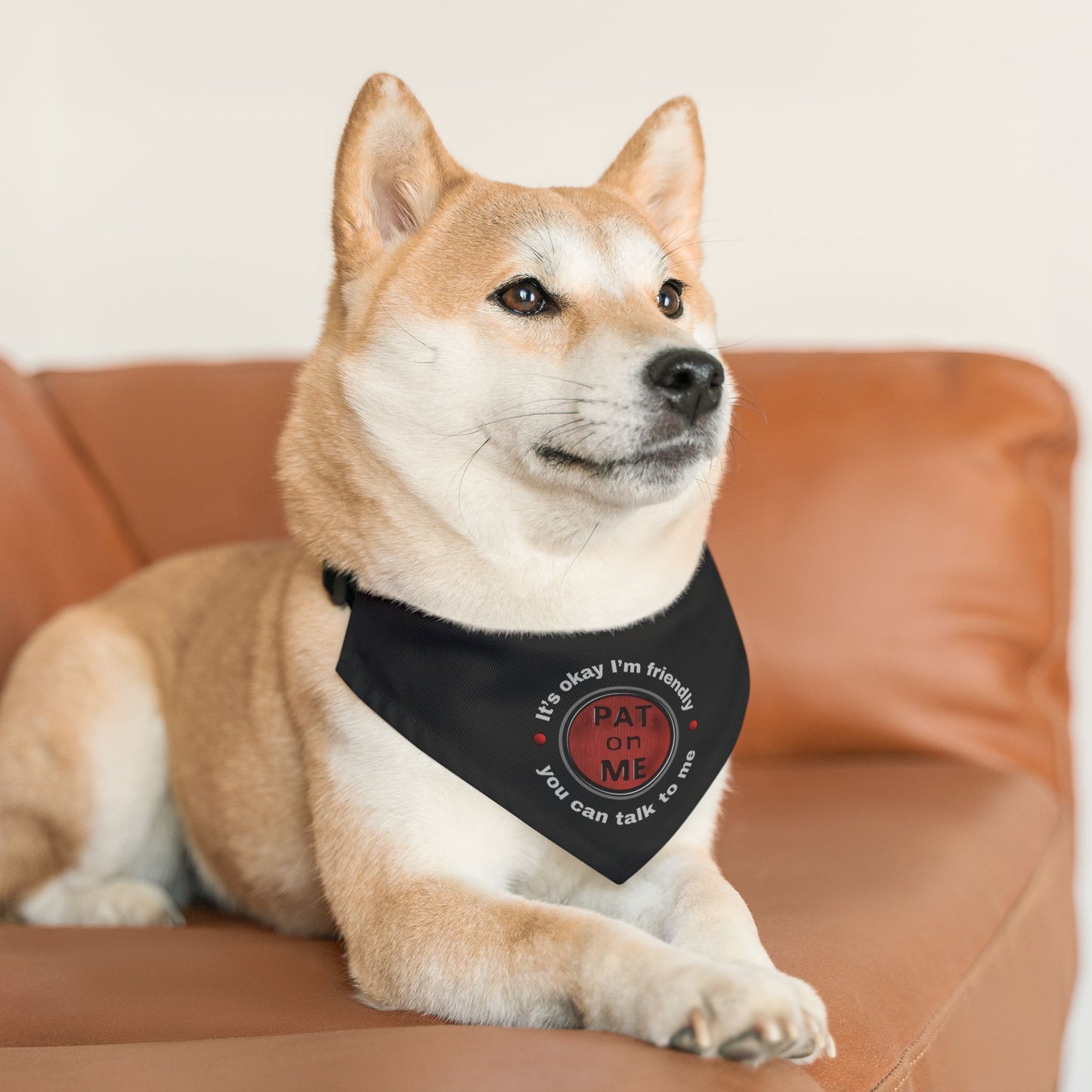 (f61110c) PAT on ME It's okay I'm friendly clip collar