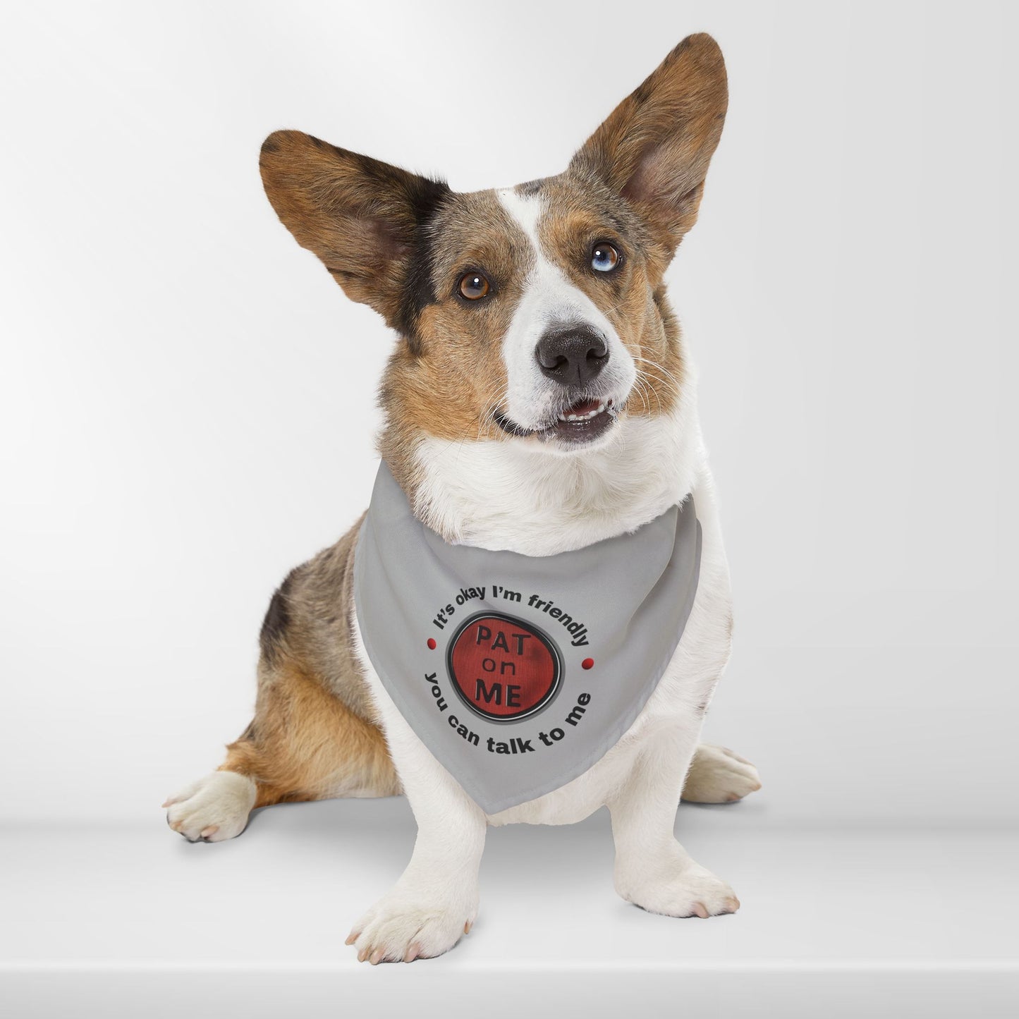 (f60910c) PAT on ME It's okay I'm friendly clip collar
