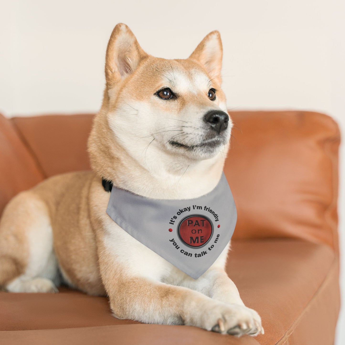 (f60910c) PAT on ME It's okay I'm friendly clip collar